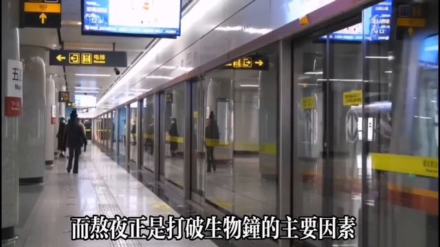 【乐厨怡妈】偷走你壽命的5大習慣，熬夜僅排第3，第一名你根本沒想到，醫生：不想早衰命短，最好立馬改掉  。