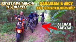 СКУТЕР VS АЛЬФА VS ЭНДУРО |ЛЕСНАЯ ЗАРУБА|
