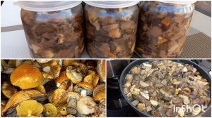 ГРИБЫ на ЗИМУ Жареные лесные  ГРИБЫ Рецепт простой и проверен Годами