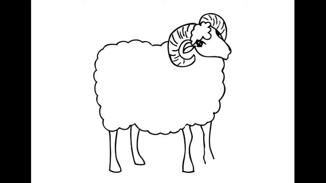 Как нарисовать Барана. Раскраска Барана для детей смотреть онлайн