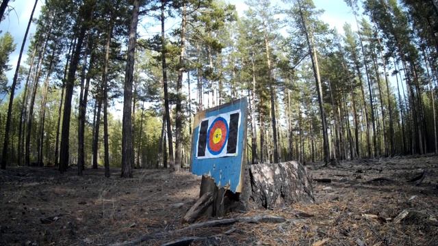 ТЕСТ ОХОТНИЧЬЕГО ПРИЦЕЛА WestHunter HD 1X6X24 IR ЗАГОННИК