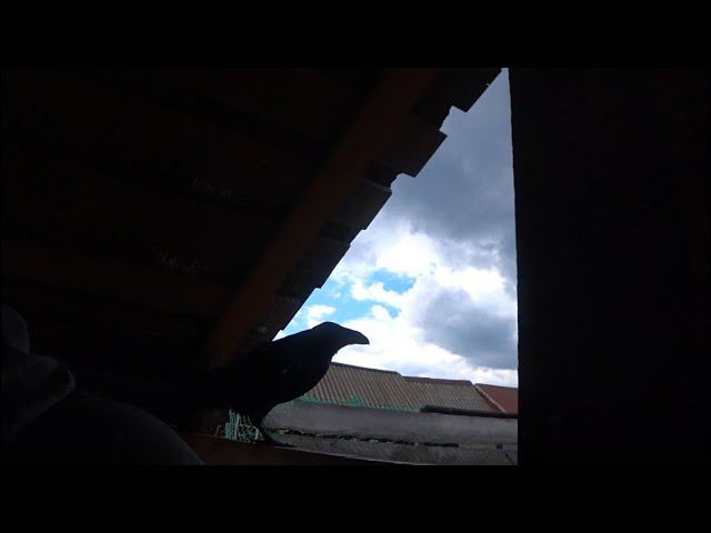 Цифры не виноваты. смотреть онлайн