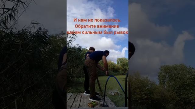 Рыбалка.Ловля судака на живца.Кидаем донку на ночь. смотреть онлайн