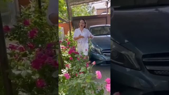 Практика нашего века #магия #руны #гадание #правильноепитание #медитация смотреть онлайн