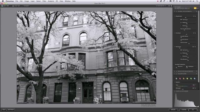 Silver Efex Pro 2: Infrared Film смотреть онлайн