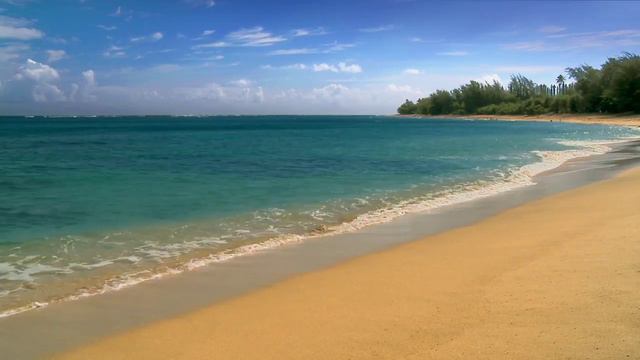 KAUAI - HAENA BEACH North Shore #81 HD Hawaii Beaches Ocean Waves beach sounds Hawaii video free смотреть онлайн