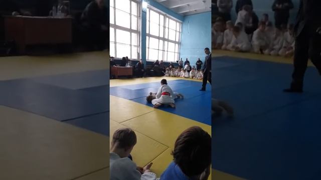 Дзюдо соревнования смотреть онлайн