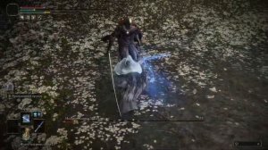 Маг против Малении Без Урона [Mage vs Malenia, No Damage, Solo]