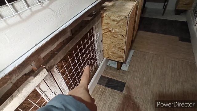 Замёрзнут ли куры на улице? смотреть онлайн