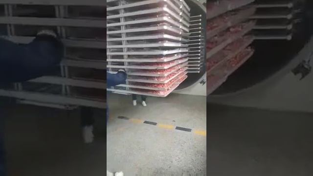 Вакумная сублимационная сушка 100м3 смотреть онлайн
