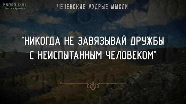 Короткие, но Очень Мудрые Чеченские пословицы и поговорки. Цитаты, афоризмы, мудрые мысли смотреть онлайн