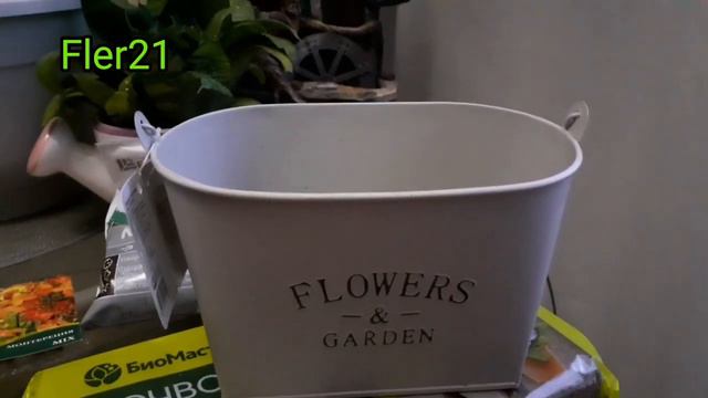 САДОВЫЕ ТОВАРЫ ИЗ FIXPRICE.ОБЗОР.МОИ ПОКУПКИ #fler21#fixprice #садовые#товары#кашподляцветов#garden смотреть онлайн