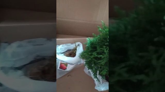 Отзыв Агромаркет (вiдгук) смотреть онлайн