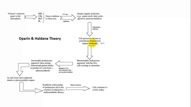 evolution смотреть онлайн