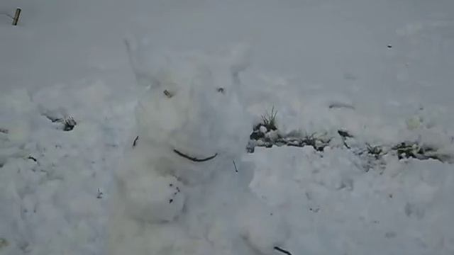 удивительный снежный зверь смотреть онлайн