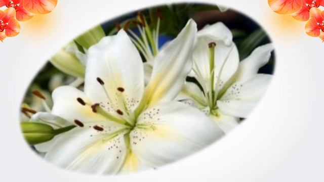 Викторина. Легенды о цветах, мифы и истории. смотреть онлайн