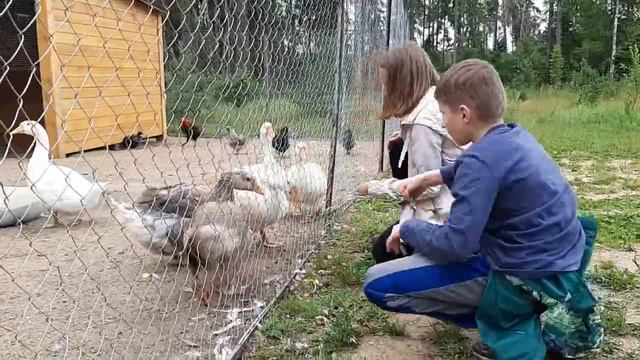 Москва воспоминания мечтательного туриста смотреть онлайн