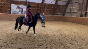 Верховая езда// КОНОБЛОГ//Занятие на НОВОЙ конюшне
