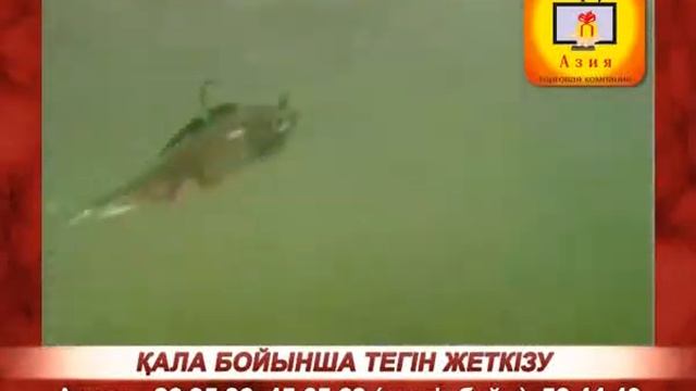 Набор снастей для рыбной ловли Mighty Bite смотреть онлайн