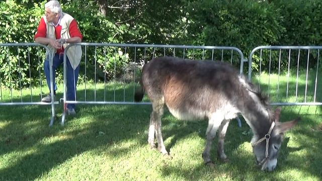 Что меня удивляет в Италии 2 Отдых и жизнь в Италии смотреть онлайн