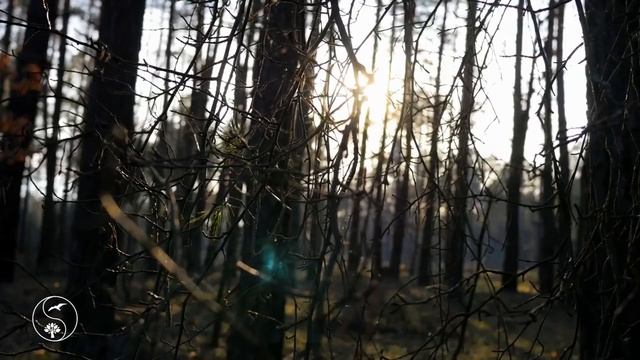 Женские Запросы (Володя Батхёртов) смотреть онлайн