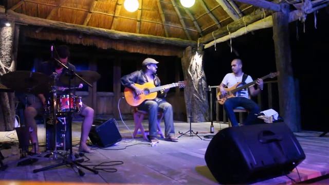 Flamenco Music Performance LIVE in Tulum, Mexico смотреть онлайн