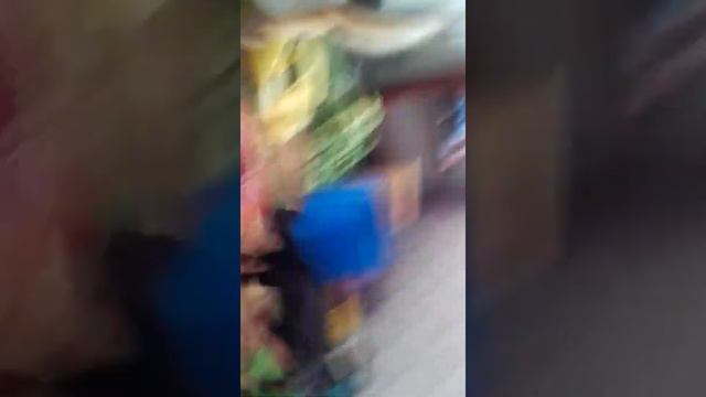 Приколы котов пушок снято в брянской области смотреть онлайн