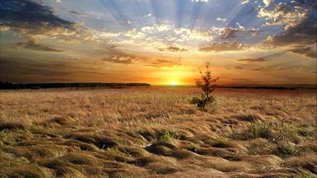 Край родной смотреть онлайн