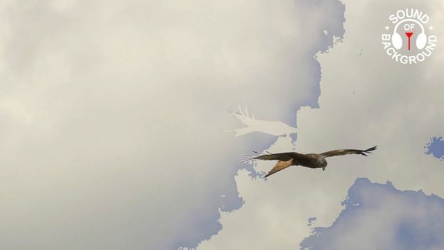 Dream Flight (dreamy music) смотреть онлайн