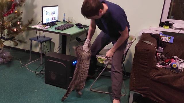 Год Тигра. Муся своё из горла вырвет 😁 9 января 2022 г. смотреть онлайн