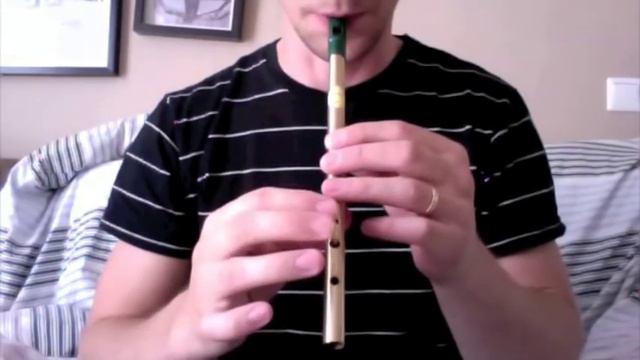 Flogging Molly - Devil's dance floor (tin whistle) смотреть онлайн