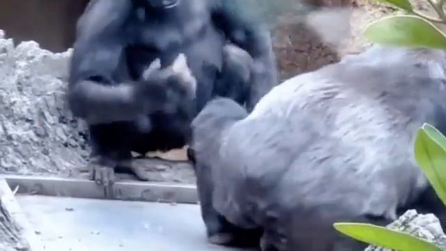 28 мая 2023 г. смотреть онлайн