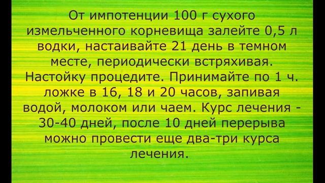 Калган или Лапчатка прямостоячая смотреть онлайн