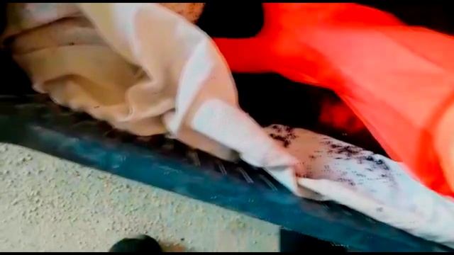 ПАН59. Начало промышленного производства Биогумуса ( Вермикомпоста ) в Турции. смотреть онлайн