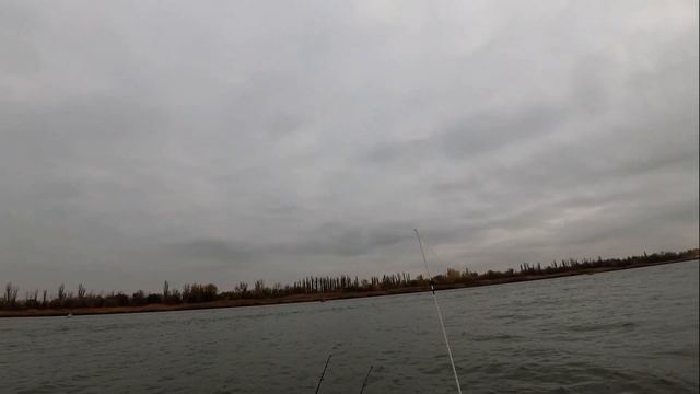 Рыбалка на дону в непогоду ! Краснокнижная рыба ! шемая ! смотреть онлайн