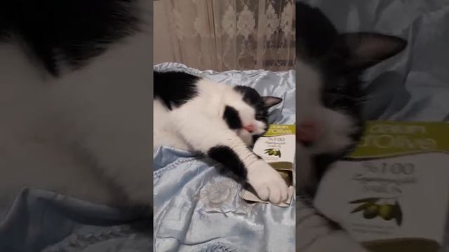 Капля + валерьянка = космос смотреть онлайн