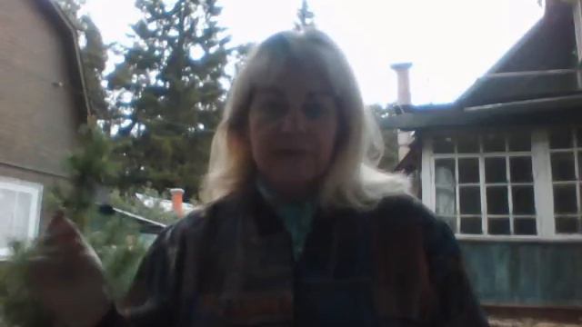 Быстрая аромаподсказка Осени! смотреть онлайн