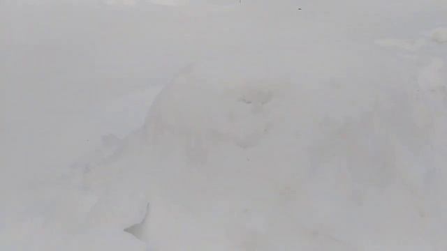 Зимовка под снегом, на сетчатом дне в эпс ульях в Сибири. смотреть онлайн