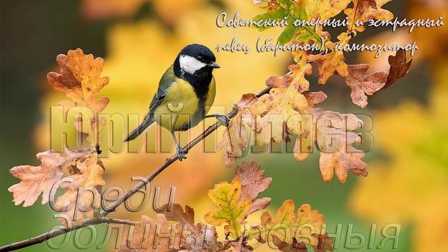 Среди долины ровныя - Юрий Гуляев смотреть онлайн