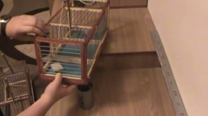 Устройство,настройка и обзор простейшего западка от Темки Птицелова