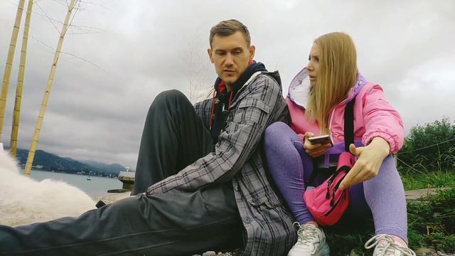 Перевоз собаки заграницу 🦮 подробная инструкция смотреть онлайн