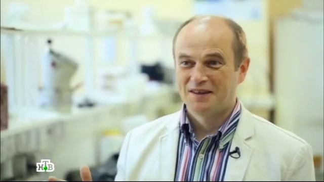 ЛСТК металлокаркас Самостройка испытание на прочность смотреть онлайн