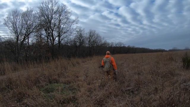 Upland Game Hunt 12-8-2017 смотреть онлайн