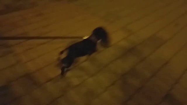 Дерзкий и еж без звука смотреть онлайн