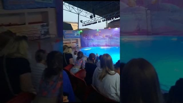 необычный влог|дельфинарий|море ? смотреть онлайн