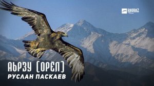 Руслан Паскаев - Аьрзу (Орёл) | KAVKAZ MUSIC CHECHNYA