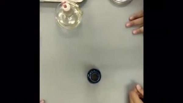 Preparing Slide From Fungal Culture - Fungal Like and Lower Fungi | UPM