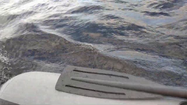 Белый винт 7,5 и Черный винт 8,5. Сравнение на моторе Sea-Pro Т 9.8S и лодке Marlin 340SLK смотреть онлайн