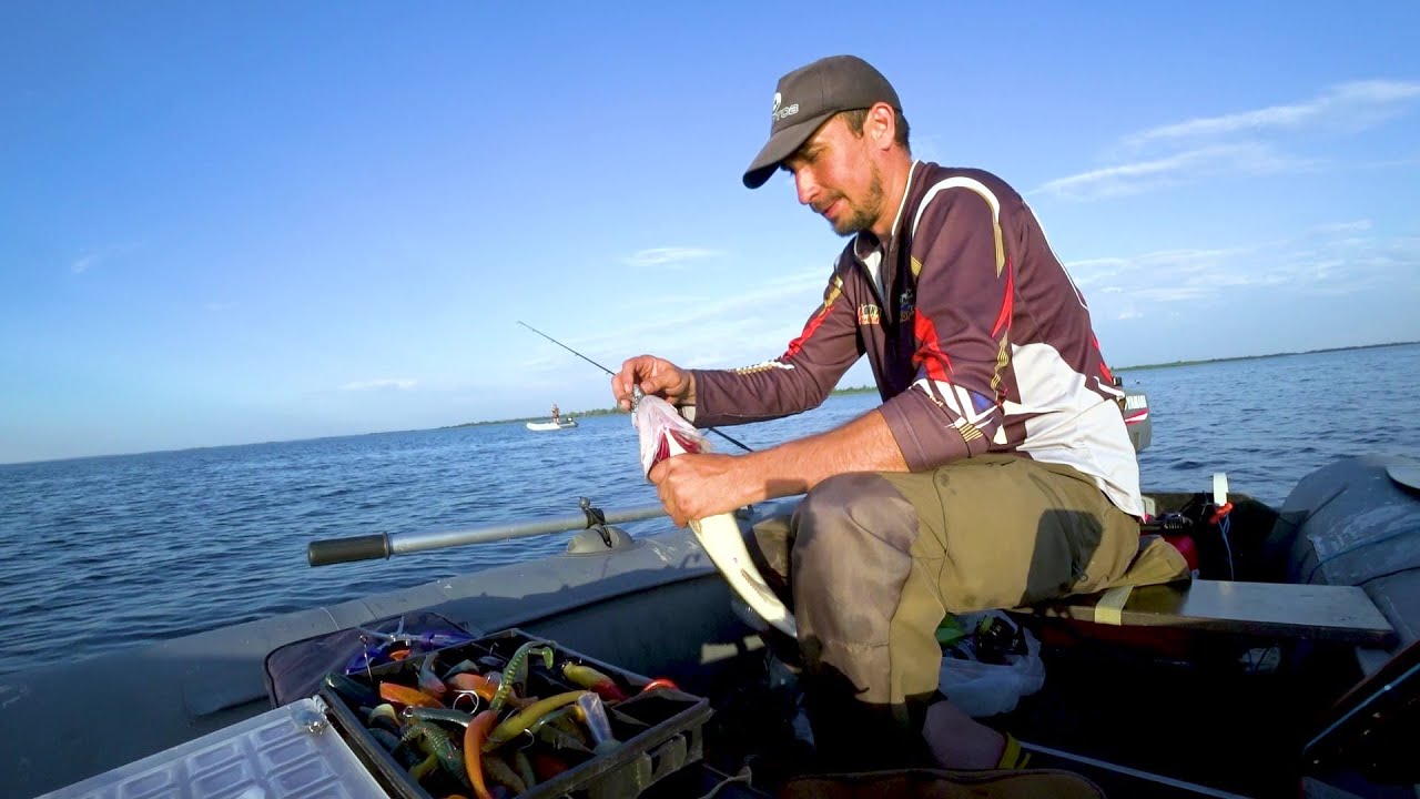 Как я в существование рыбы Судак почти поверил.... смотреть онлайн