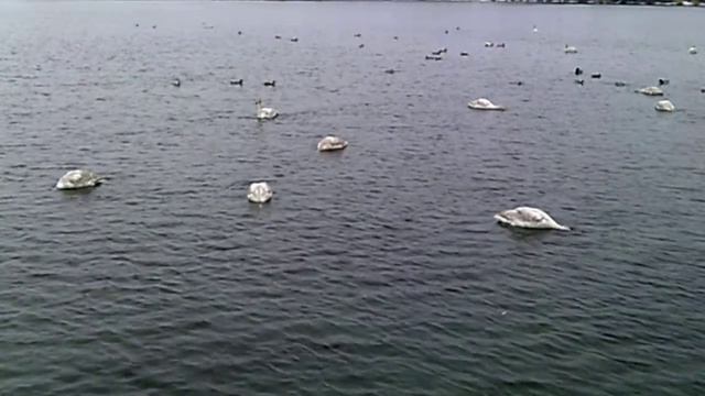 DSCF0109 смотреть онлайн
